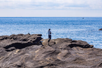 三浦・城ヶ島(神奈川県:2025年4月)