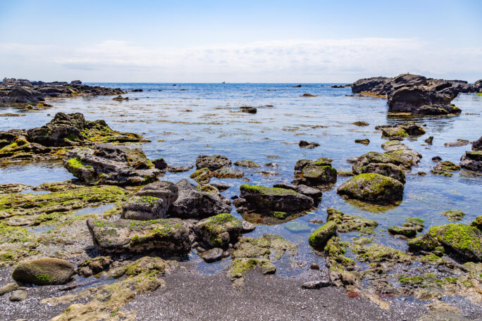 三浦・城ヶ島（神奈川県：2025年4月）