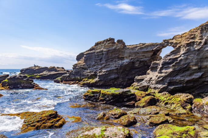 三浦・城ヶ島（神奈川県：2025年4月）