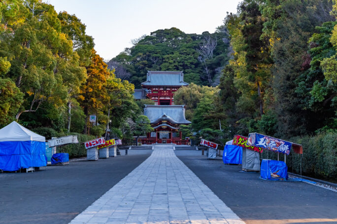 鎌倉・鶴岡八幡宮（神奈川県：2025年4月）