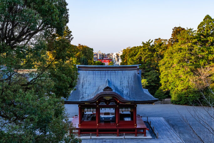 鎌倉・鶴岡八幡宮（神奈川県：2025年4月）