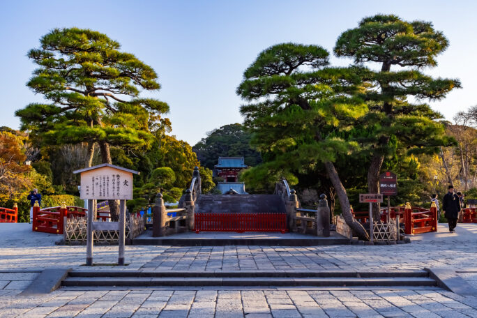 鎌倉・鶴岡八幡宮（神奈川県：2025年4月）