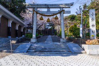 江ノ島電鉄鉄道線・鎌倉高校前~腰越間・小動神社(神奈川県:2025年4月)