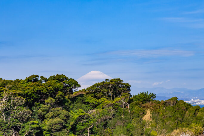 江の島・御岩屋道通り付近から望む富士山（神奈川県：2025年4月）