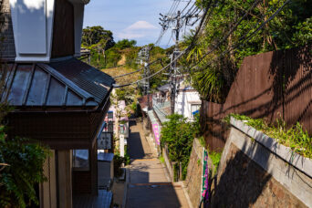 江の島・御岩屋道通り付近から望む富士山(神奈川県:2025年4月)