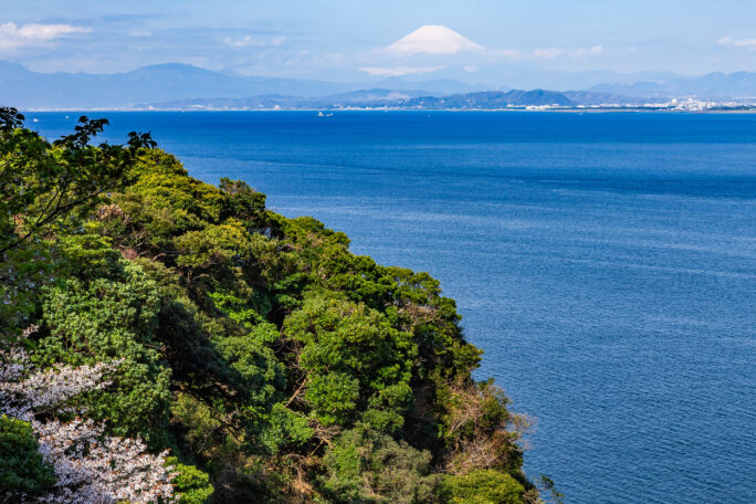 江の島から望む富士山（神奈川県：2025年4月）
