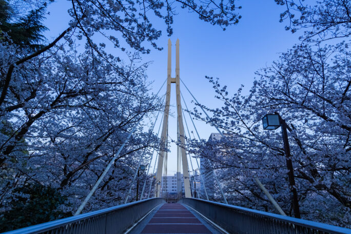 品川・京浜運河・かもめ橋（東京都：2025年4月）