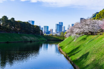 千代田区・皇居・千鳥ヶ淵(東京都:2025年4月)