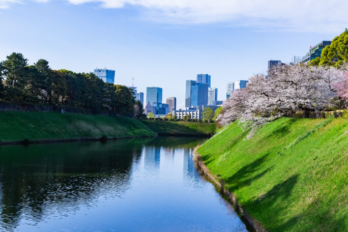 千代田区・皇居・千鳥ヶ淵（東京都：2025年4月）
