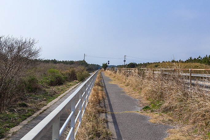 白子海岸付近からは九十九里有料道路に沿った自転車道を行くが海は見えない