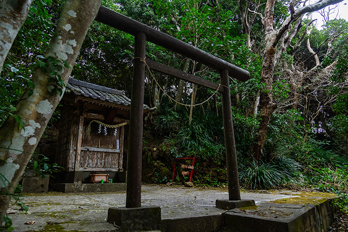 勝浦灯台から八幡岬に向かう道中外れの山中にひっそりと佇む愛宕権現
