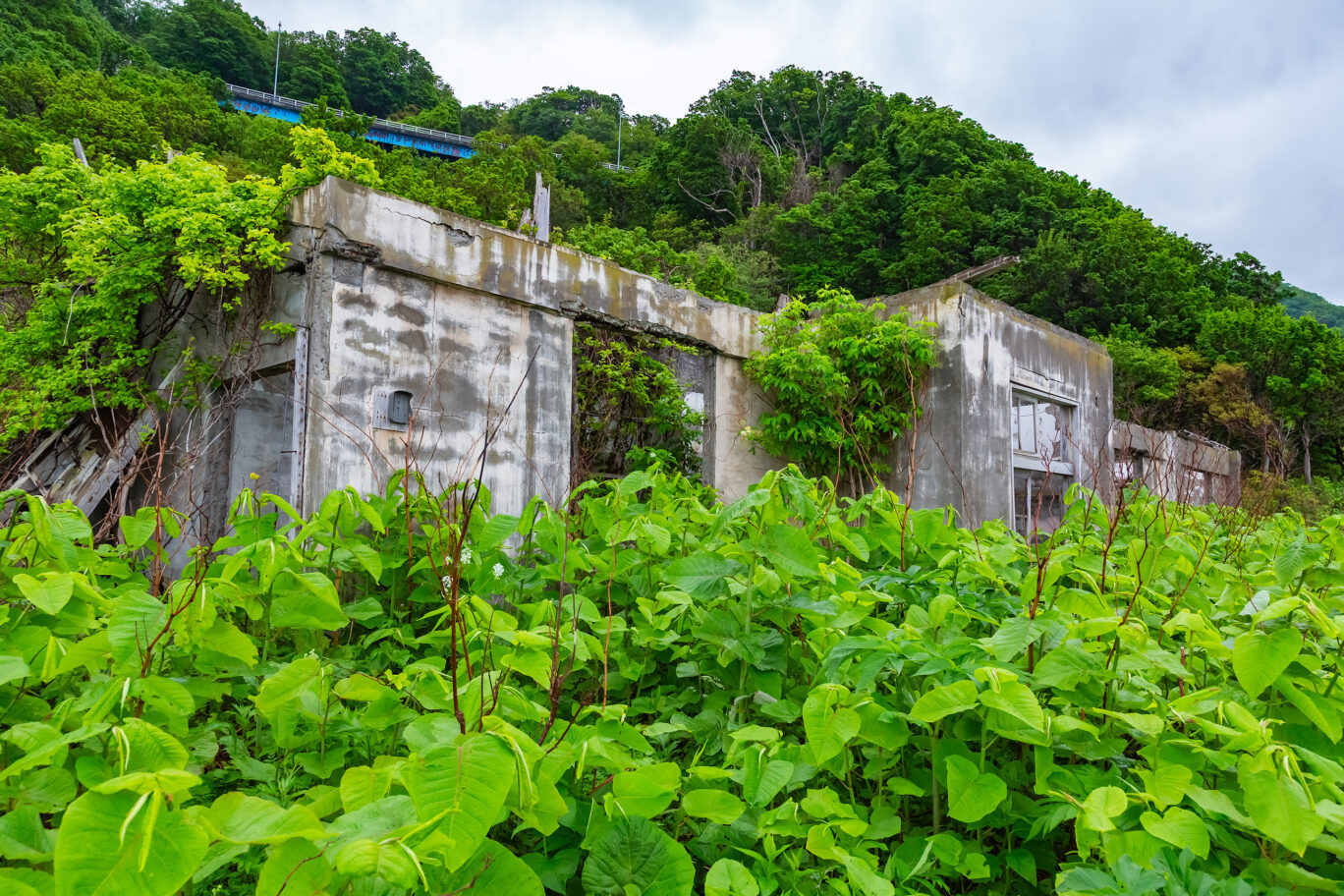留萌・増毛・歩古丹小学校跡（北海道：2025年5月）