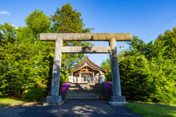 胆振・安平・早来神社(北海道:2025年5月)