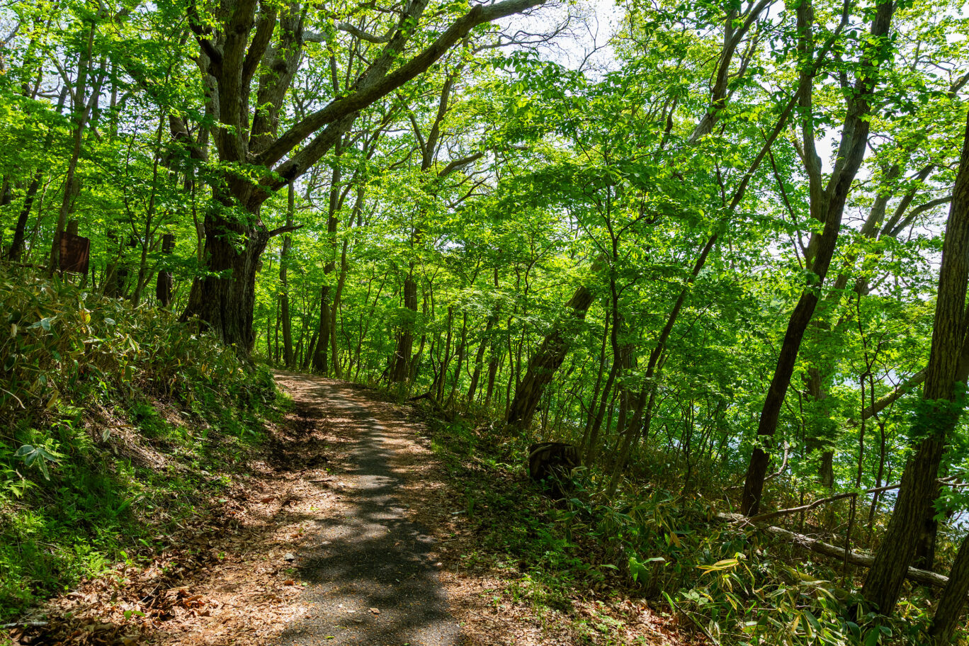 胆振・白老・ポロト湖（北海道：2025年5月）