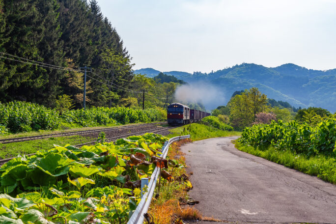 JR室蘭本線・鳥伏信号場跡付近(北海道:2025年5月)