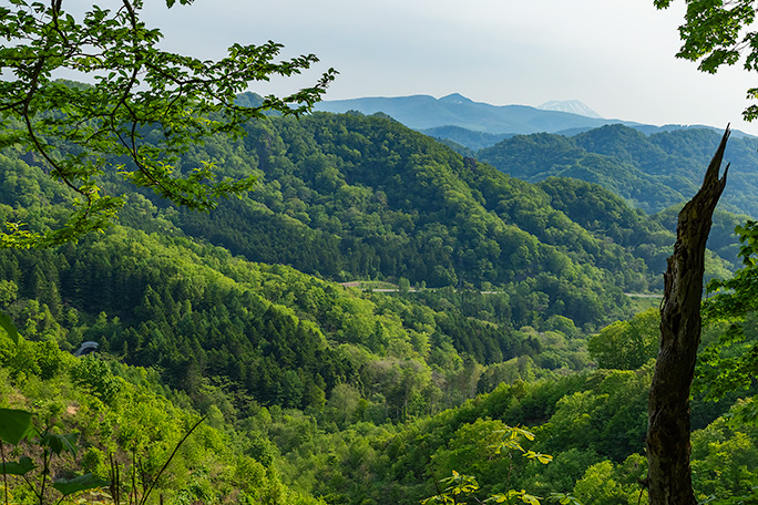 眼下に国道37号線と礼文トンネルが見えてきた