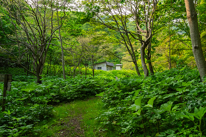 小幌駅の保線作業小屋と簡易トイレが見えてきた