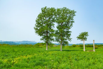 後志・黒松内・白炭集落付近(北海道:2025年5月)
