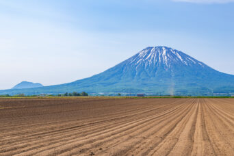 後志・倶知安・西三号線付近から望む後志羊蹄山と尻別岳（北海道：2025年6月）