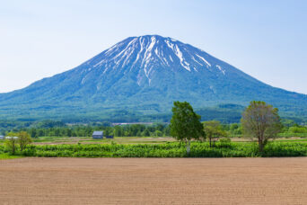 後志・倶知安・国道276号線付近から望む後志羊蹄山（北海道：2025年6月）