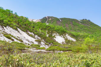 後志・倶知安・主要道道58号倶知安ニセコ線から望むイワオヌプリ（北海道：2025年6月）