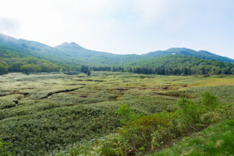 後志・共和・ニセコ連山大谷地（北海道：2025年6月）