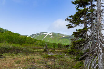 後志・共和・ニセコ連山神仙沼付近（北海道：2025年6月）
