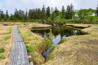 後志・共和・ニセコ連山神仙沼（北海道：2025年6月）
