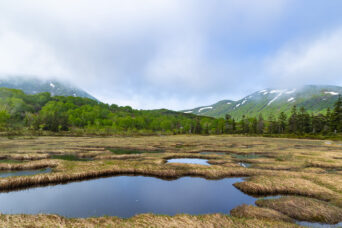 後志・共和・ニセコ連山神仙沼（北海道：2025年6月）