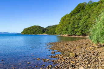 川棚・大崎・海神神社付近(長崎県:2025年7月)
