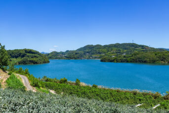 佐世保・江上浦(長崎県:2025年7月)