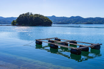西海・西彼・膝行神集落・橘島(長崎県:2025年7月)