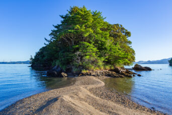 西海・西彼・ヒギレ島(長崎県:2025年7月)