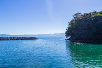 長崎・琴海・古泊集落付近(長崎県:2025年7月)