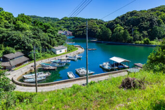 長崎・琴海・鵜瀬島から望む小口内湾(長崎県:2025年7月)
