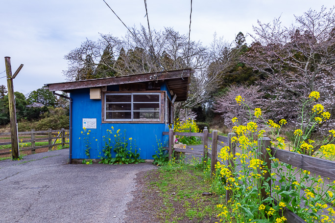 一見すると畑の中の作業小屋にも見える飯給駅のホーム上屋