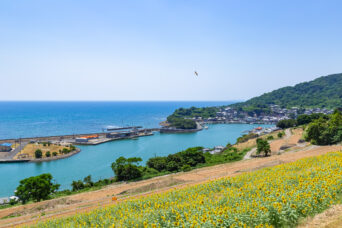 諫早・飯盛付近から望む下釜漁港(長崎県:2025年8月)