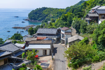 長崎半島・大崎集落付近(長崎県:2025年8月)
