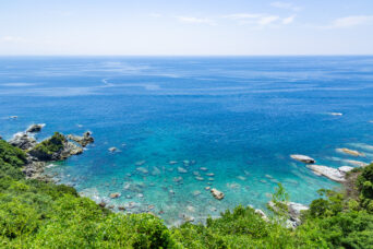 長崎半島・為石・メボシ崎付近(長崎県:2025年8月)