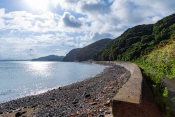 西海・大島・牛ヶ首鼻付近から望む北海岸（長崎県：2025年8月）