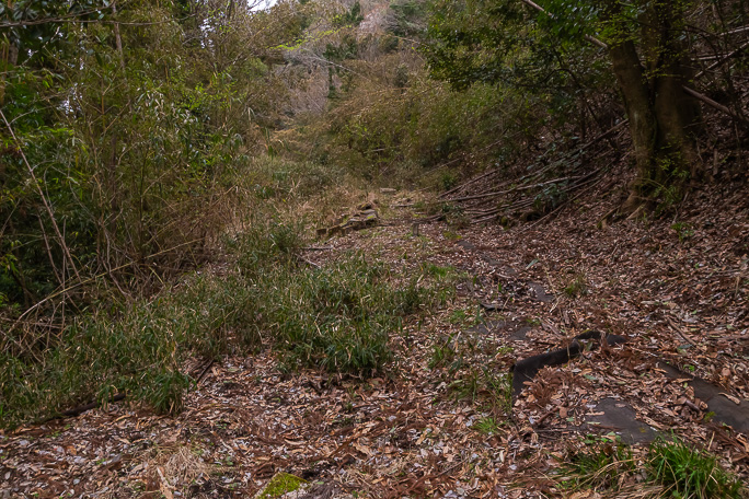 実際の線路跡は道路から一段高い藪の中に残っている