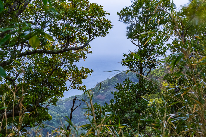 上大沢集落から太平洋を辛うじて見下ろすことが出来た