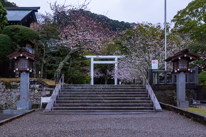 早朝の安房神社には参拝客の姿も見られなかった