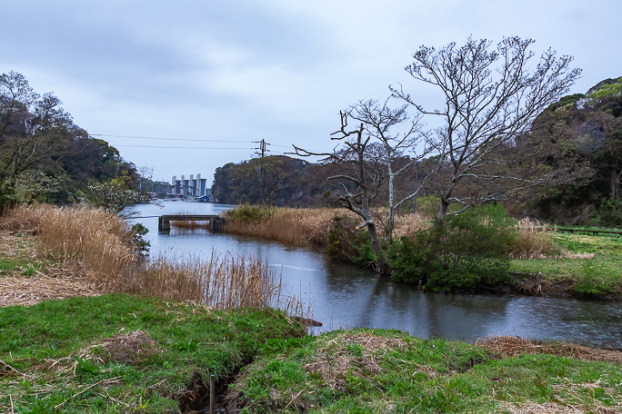 小網代の森からは湿地を通して小網代湾へと続いている
