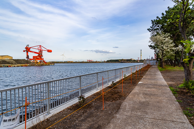 大川駅の東側にある大川町緑地から田辺運河を望む