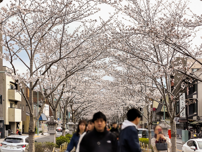鶴岡八幡宮の参道は人混みでごった返していた