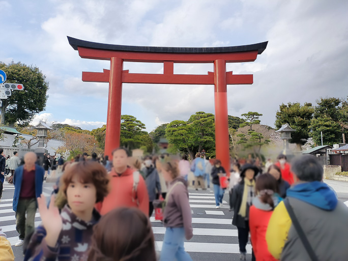 鶴岡八幡宮の境内も人混みが凄く、この日の訪問は諦めた