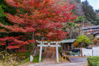 山城・和束町湯船・白山神社（奈良県：2025年11月）