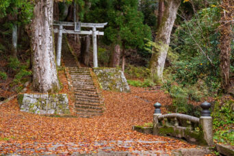 山城・和束町湯船・白山神社（奈良県：2025年11月）