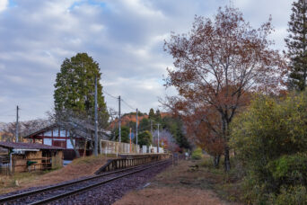 信楽高原鉄道信楽線・雲井駅（滋賀県：2025年11月）